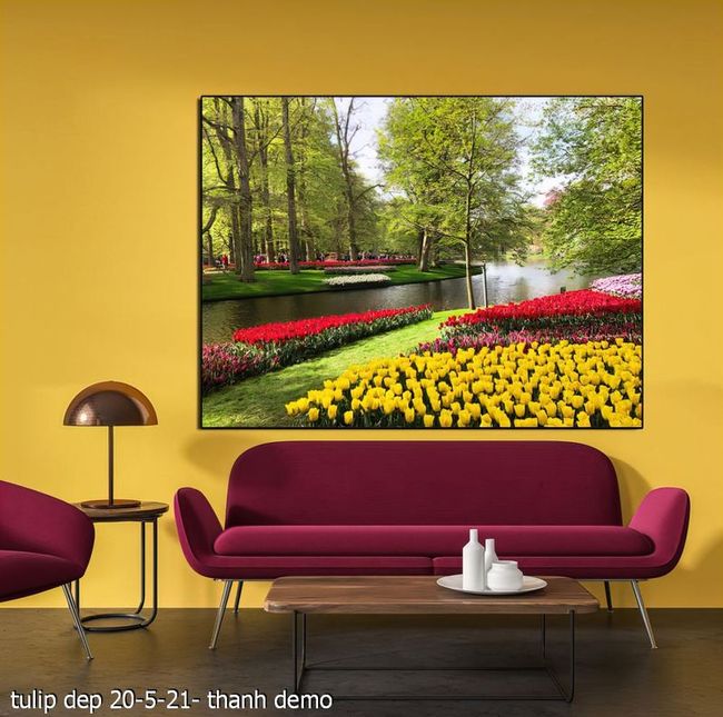 tulip dep 20 5 21  thanh 